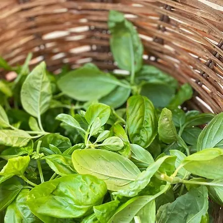 Borgo Incoronata 4* Vasto