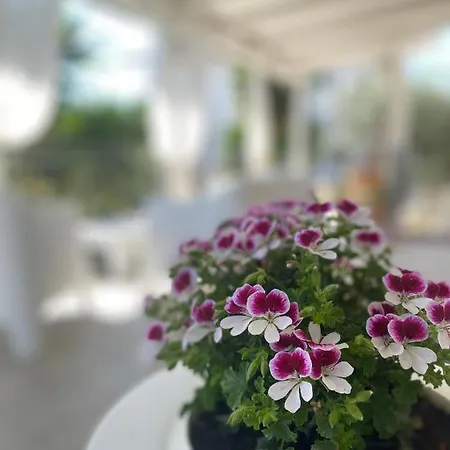 Borgo Incoronata Nocleg ze śniadaniem