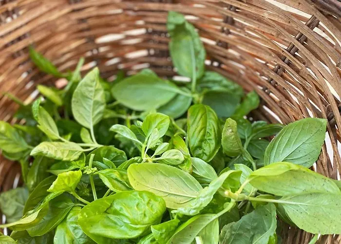 Borgo Incoronata 4* Vasto