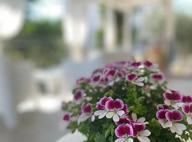 Borgo Incoronata Bed and breakfast